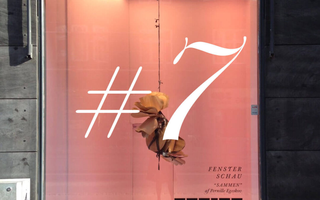 Fenster Schau
