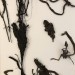 Detail, John Olsen thumbnail